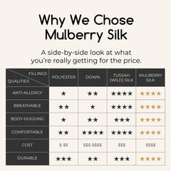 Spring/Fall/Mild Summer 100% Mulberry Silk Filled Duvet Insert / Silk Comforter