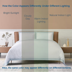 Long-staple Cotton Euro Sham Set of 2, White + Misty Blue