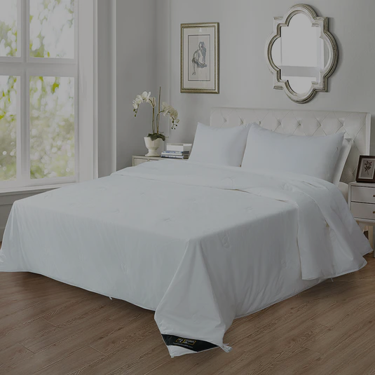 Cotton e silk catalogo deals